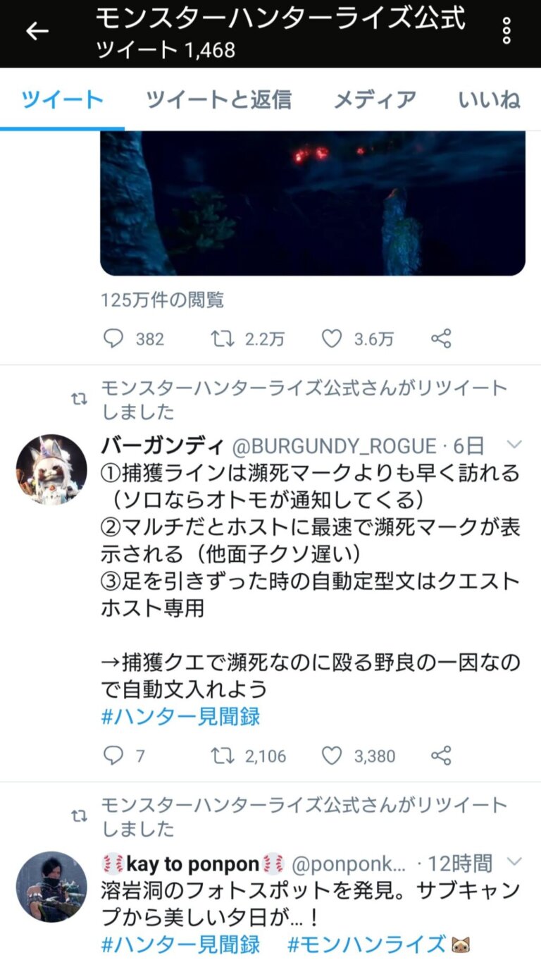 モンハンライズ 公式ツイッターがついに一般人をリツイートし始めたんだが